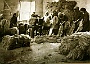 Lavorazione-canapa
