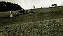 aratura