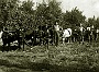 aratura_2