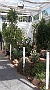 ORTO_BOTANICO-16