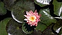ORTO_BOTANICO-18