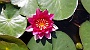 ORTO_BOTANICO-20
