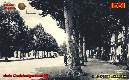 294-viale-Codalunga-anni-50