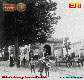332-Viale-Codalunga-barriera-Daziaria