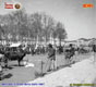 468-Mercato-in-Prato-della-Valle-1897