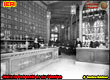 560-Ofelleria Pedrocchi da via Oberdan